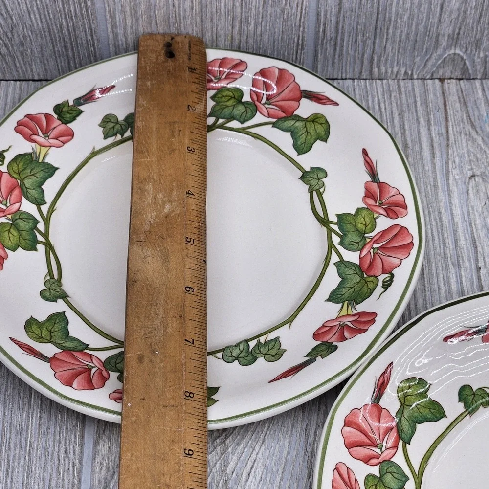 Villeroy & Boch Piccadilly Salad Plates Set of 5 Pink Morning Glory Floral 8.25